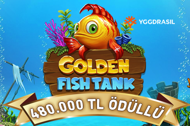 Golden Fish Tank