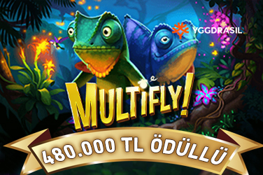 Multifly